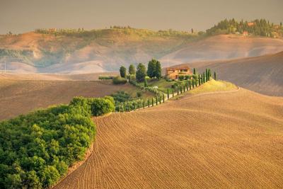 Real estate as a tangible asset in times of crisis: Italy’s quiet stability