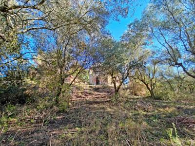 Land with large ruin for construction near San Miniato, Pisa