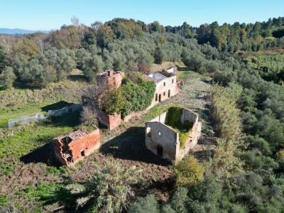 Land with large ruin for construction near San Miniato, Pisa