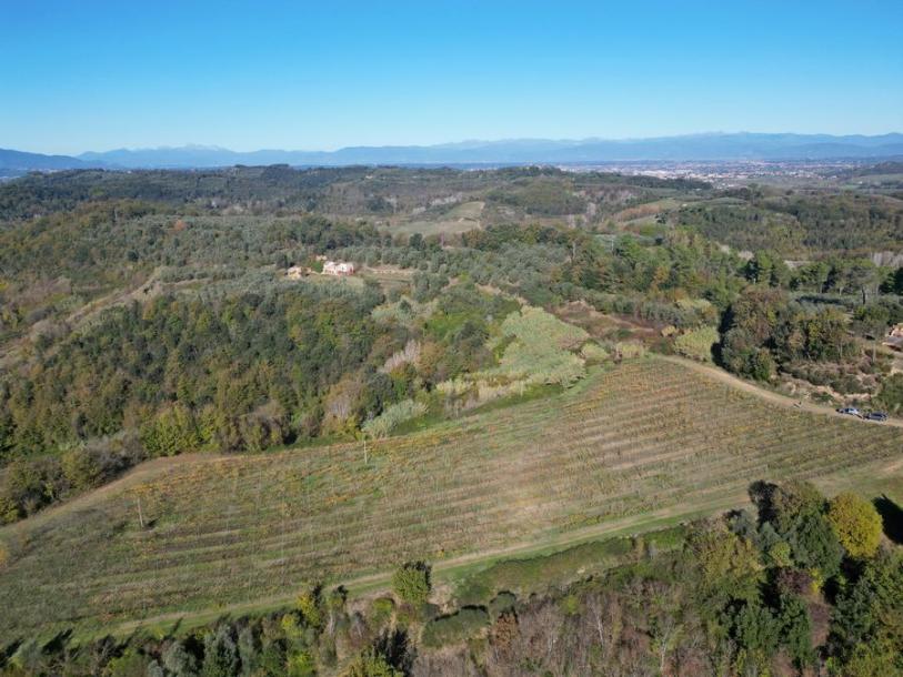 Land with large ruin for construction near San Miniato, Pisa-7