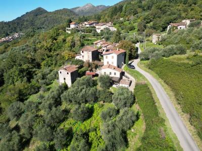 Two restored stone houses between Lucca and Camaiore