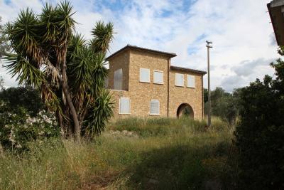 Unfinished farmhouse with olive grove