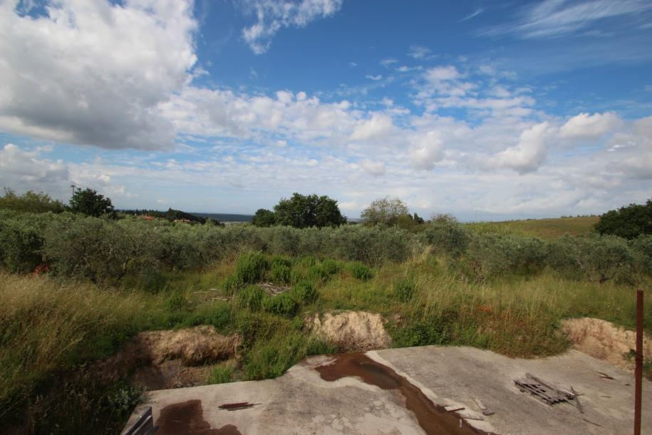 Unfinished farmhouse with olive grove-16