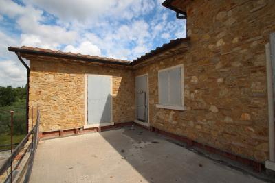 Unfinished farmhouse with olive grove