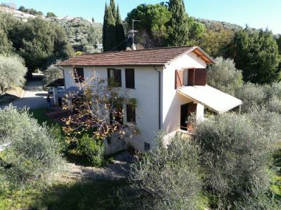 Special property in Bargechia for Sale