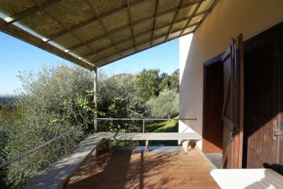 Special property in Bargechia for Sale
