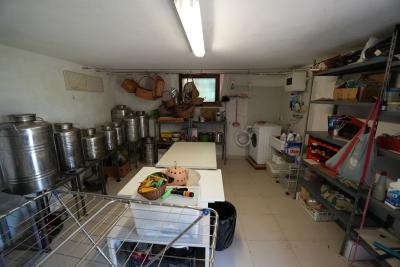 Special property in Bargechia for Sale