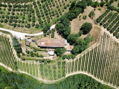 Country house near San Miniato - Tuscany