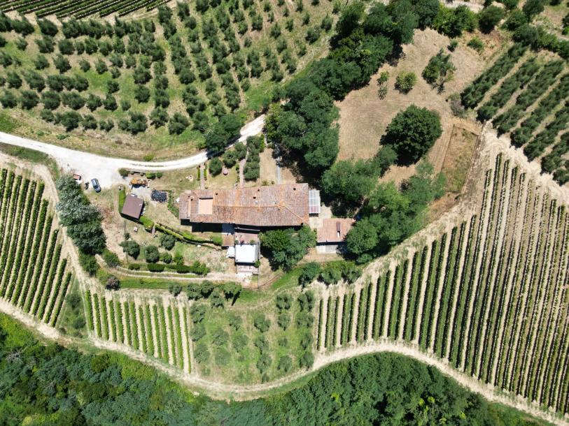 Country house near San Miniato - Tuscany-4