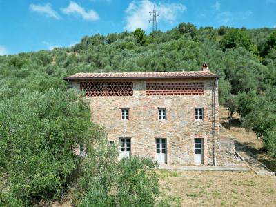 2 houses with seaview Camaiore