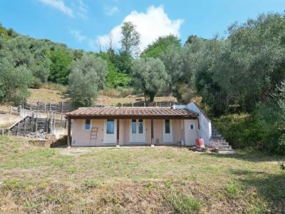 2 houses with seaview Camaiore