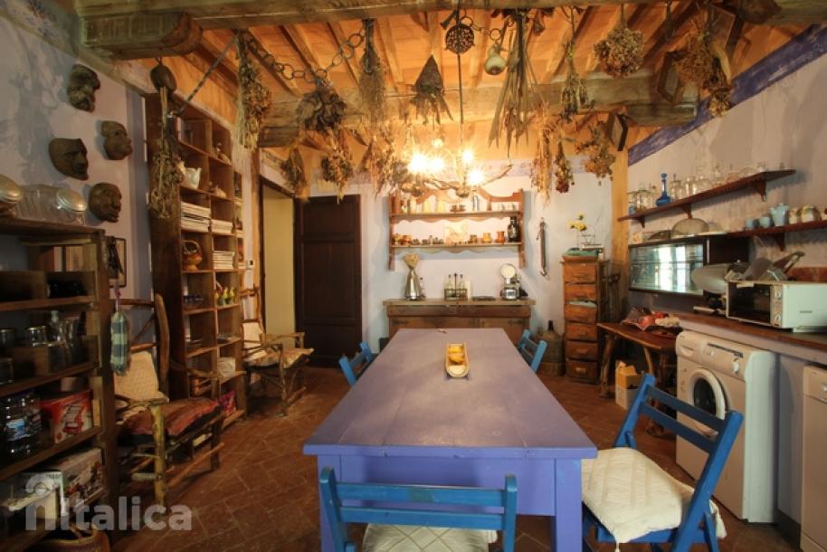 Part of a house in area of Mulina - Stazzema-1