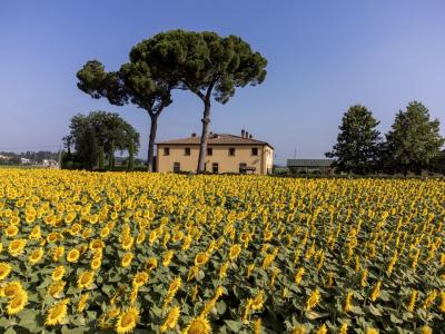 Luxury large property with view to Monte San Savino