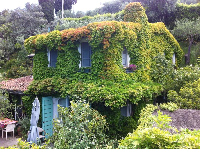 Villa with Pool and seaview in Monteggiori for Sale-1