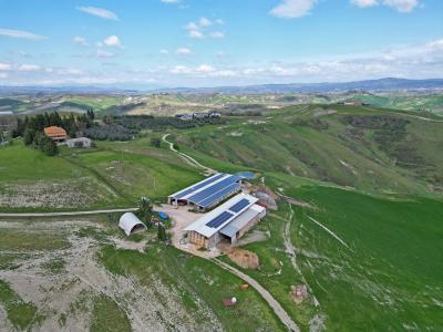 Farm in Tuscany for Sale