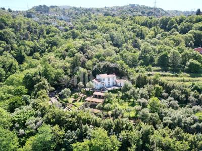 Villa con diversi annessi da rifare, vista mare
