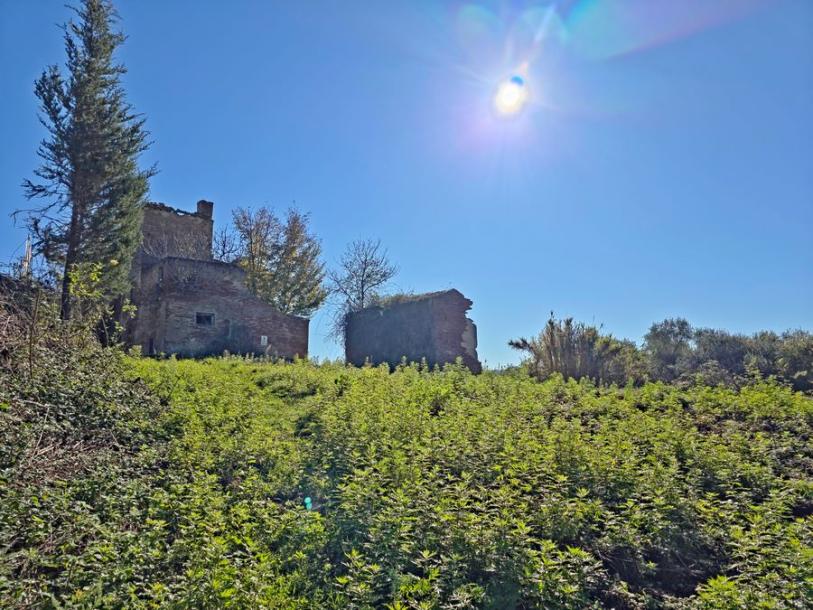 Land with large ruin for construction near San Miniato, Pisa-15