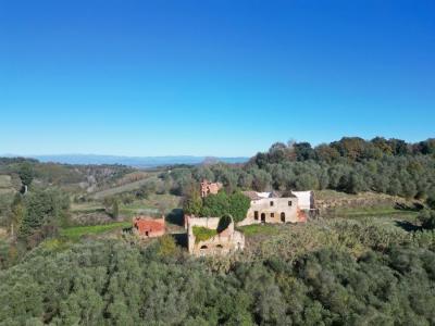 Land with large ruin for construction near San Miniato, Pisa