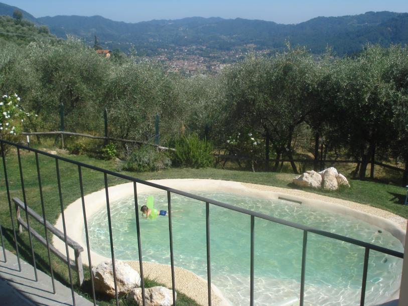 Restored stone house with Pool near Camaiore-22