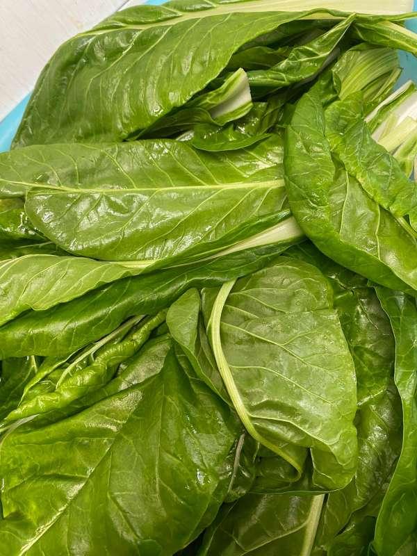 63f378f8d75b7_1676900600