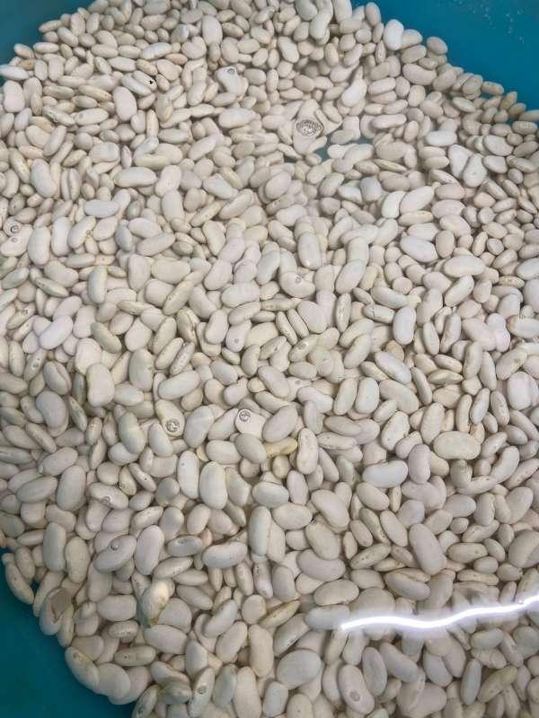 63f378fa5c7e7_1676900602