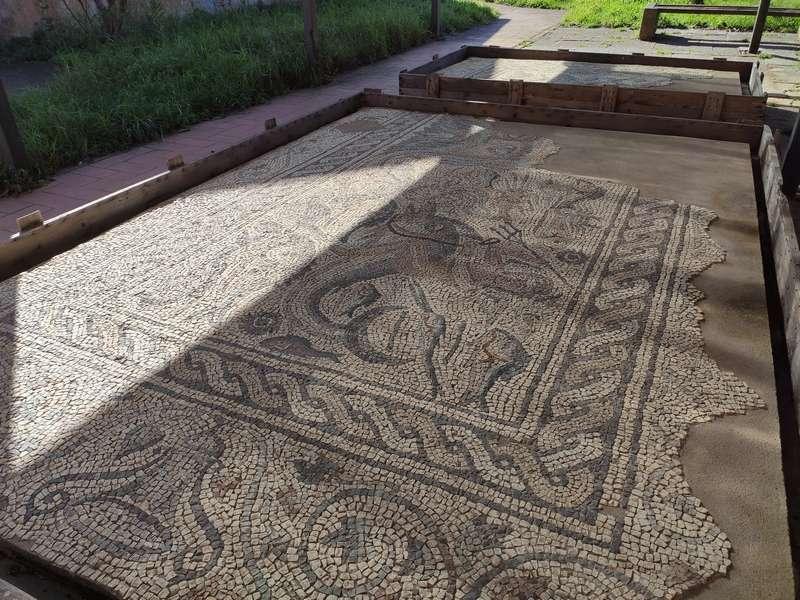 5f48cb727a304_1598606194