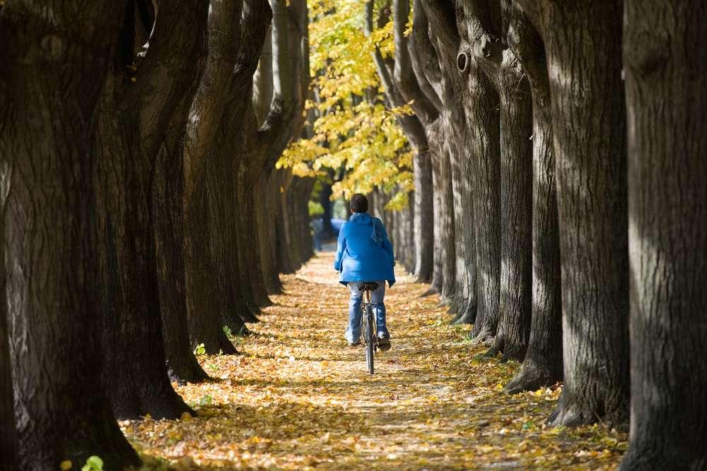 5f564b721086d_1599490930