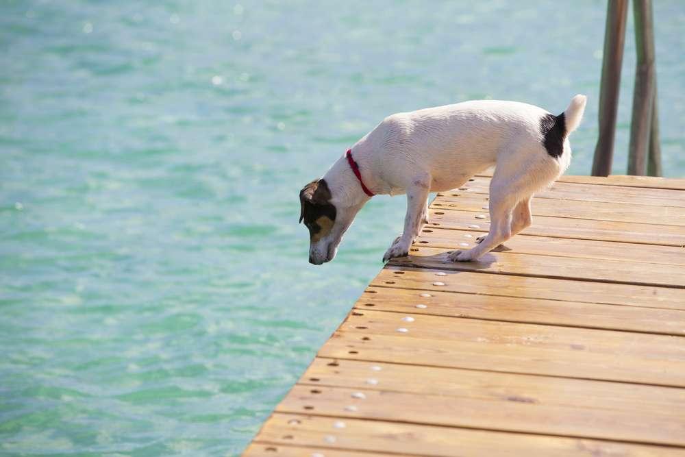 5fbfa417d1d28_1606394903