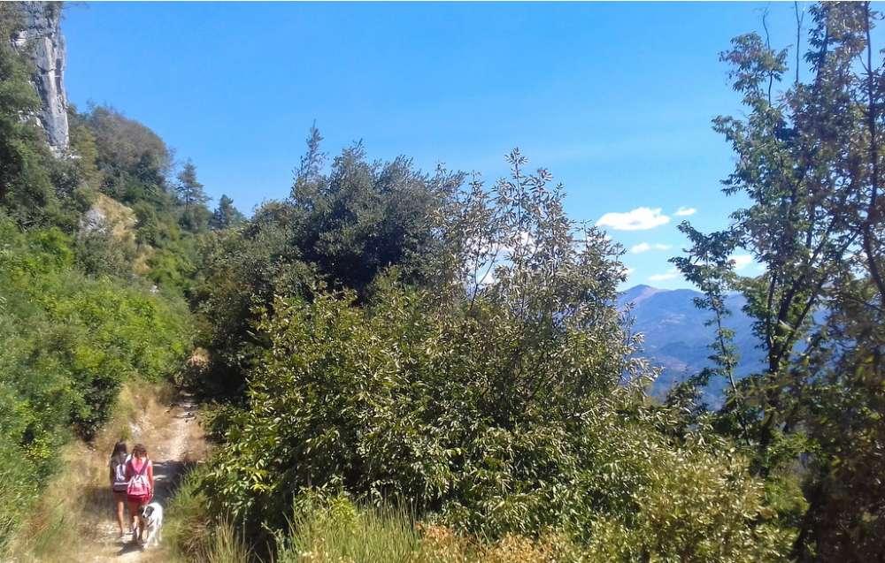 608054f9d5e82_1619023097