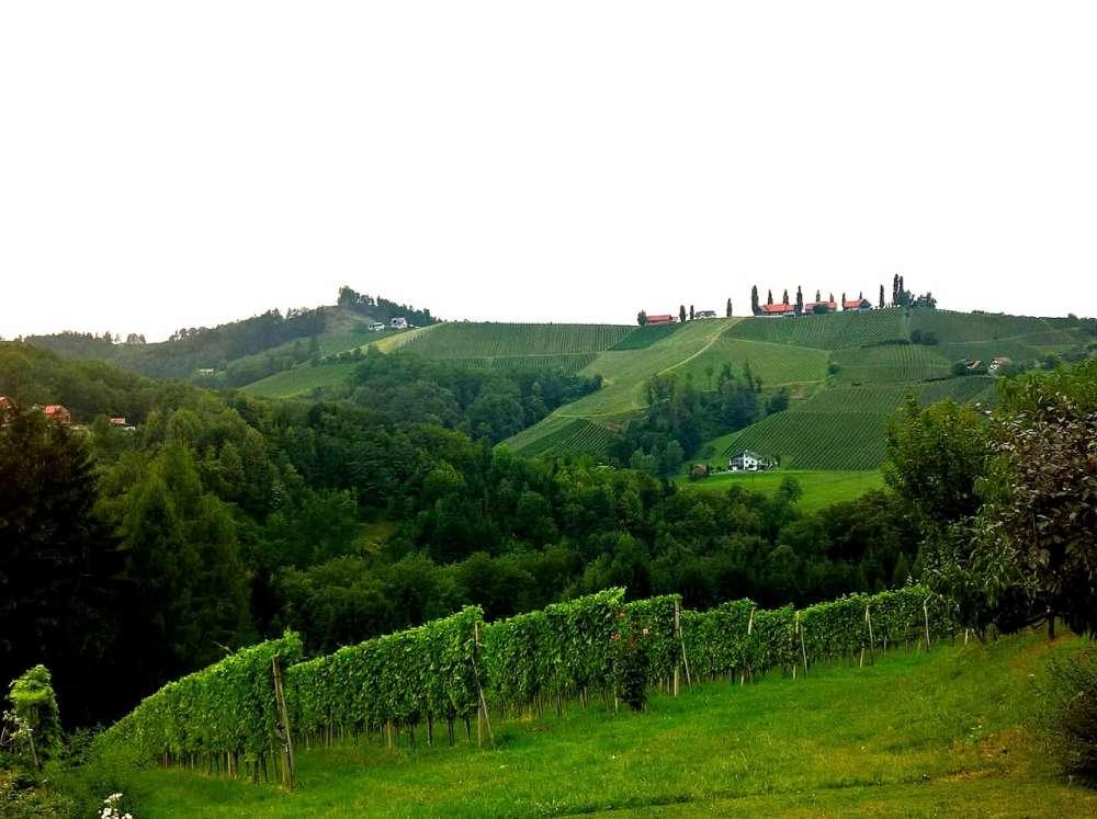 6098ea7b363d7_1620634235