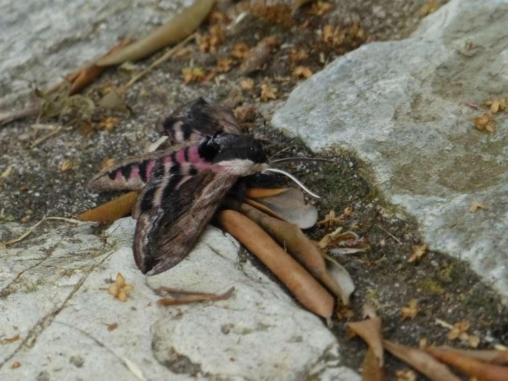 6113dc12abcda_1628691474