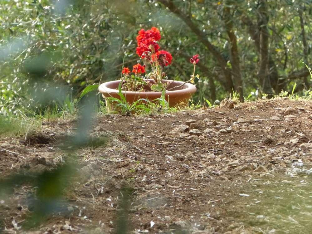 6113dc12f2544_1628691474