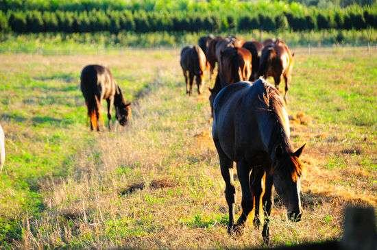 6134f1935311d_1630859667