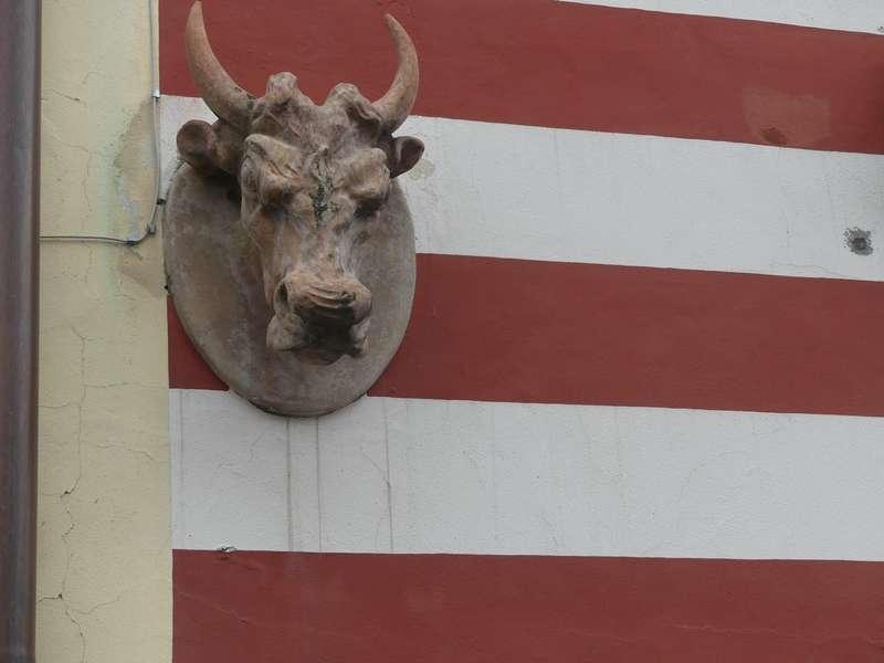 6160561251084_1633703442