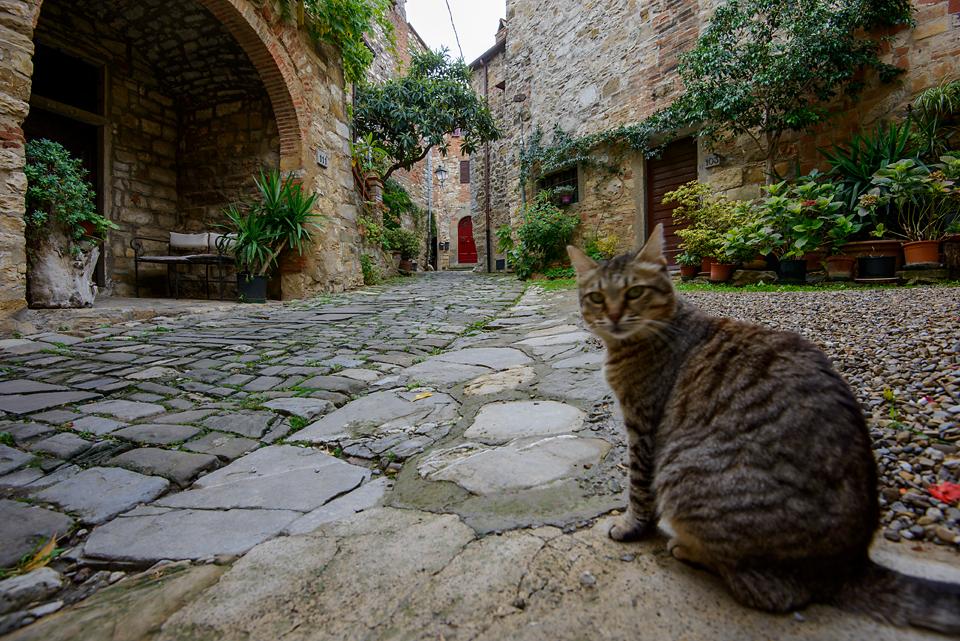 Palermo