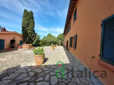 Farm in Tuscany