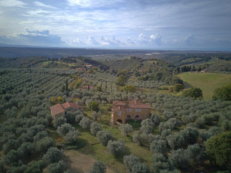 Unfinished farmhouse with olive grove-3