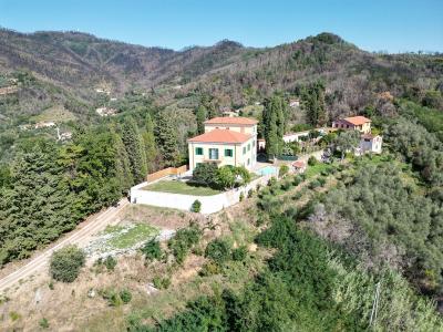 Villa con piscina verso Massarosa