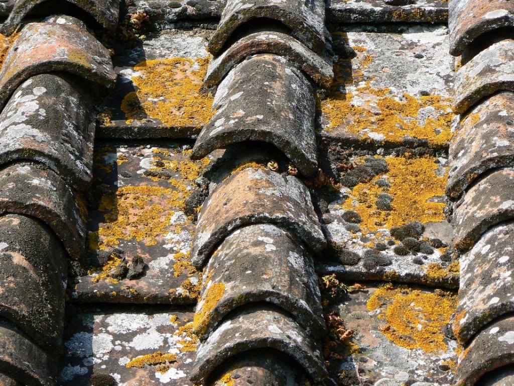 The 15 most common mistakes when buying property in Italy
