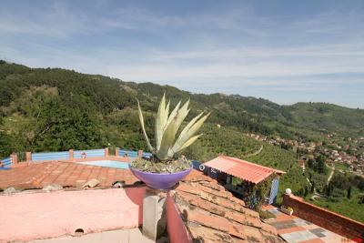 Comprare un casale rustico con piscina a Bargecchia