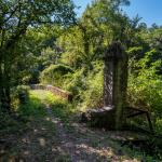 Castiglioncello  Die Wälder des geheimnisvollen Wanderers