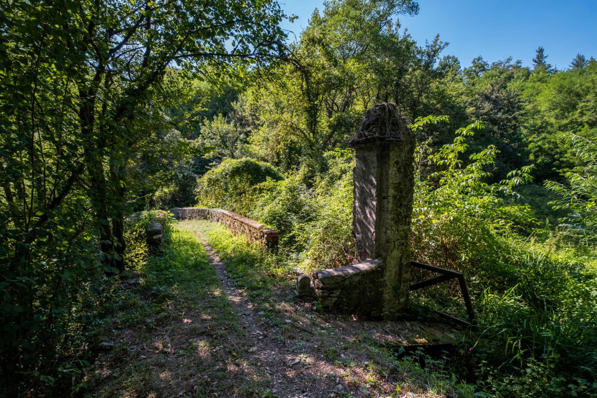 Castiglioncello (Municipality of Firenzuola): the woods of the mysterious traveller