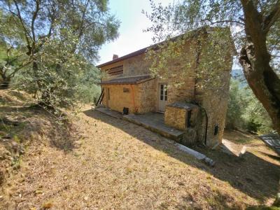 Skvostná nemovitost ve Versilii