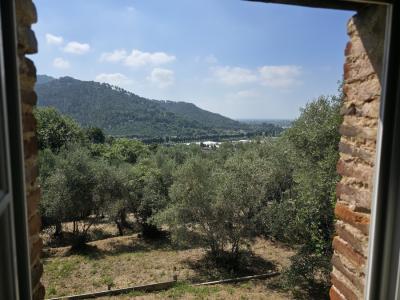 Skvostná nemovitost ve Versilii