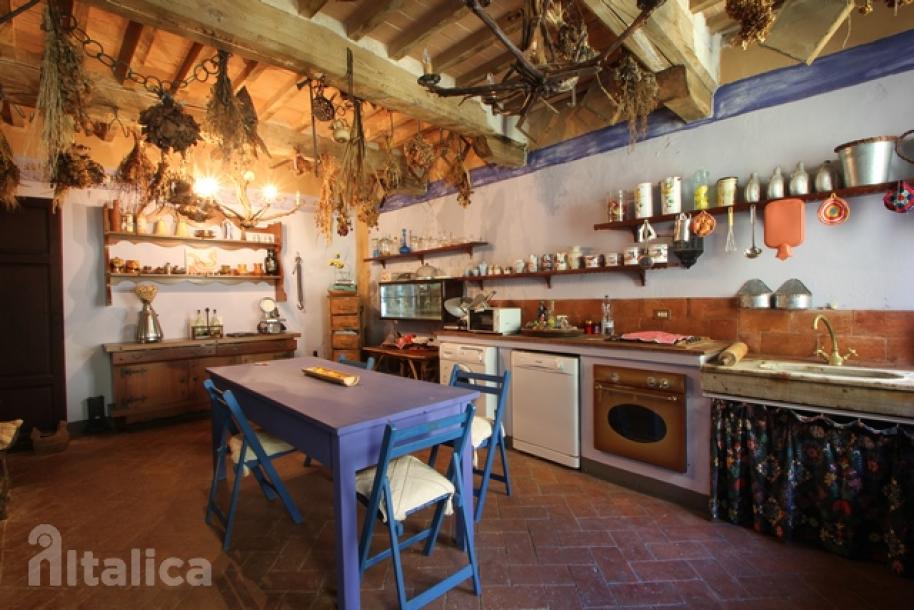 Part of a house in area of Mulina - Stazzema-21