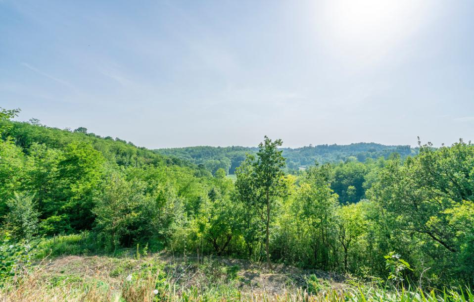 Country house in Piedmont-5