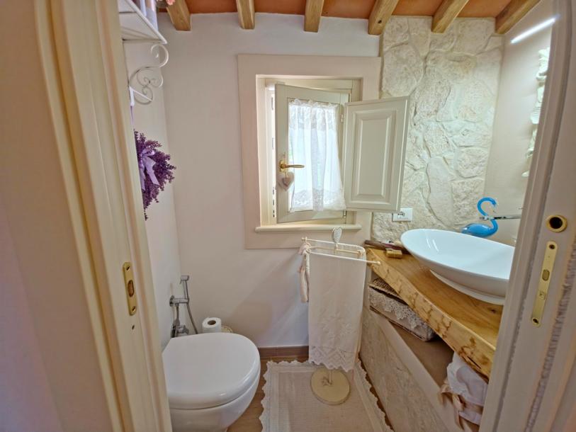 House and guest house near Camaiore for Sale-15