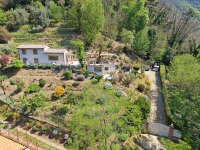 House and guest house near Camaiore for Sale