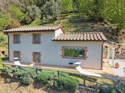House and guest house near Camaiore for Sale