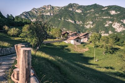 Trentino